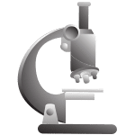 Microscope for After School STEM Programs